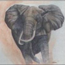 Aquarell