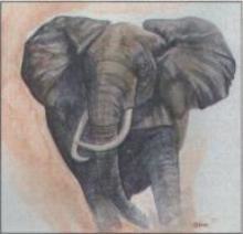 Aquarell
