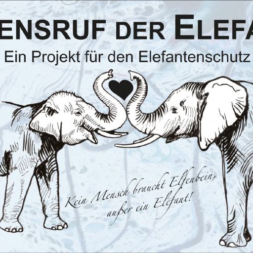 Wir haben den Elefanten eine Stimme gegeben